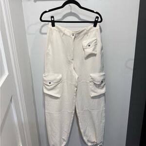 Wilfred Aritzia Project Cargo Pants